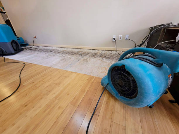 Reliable Burst Pipe Water Damage contractor in Portland, MI by Hirex Water Damage