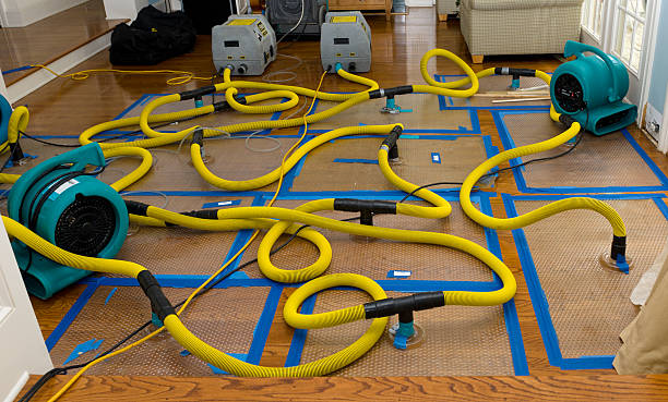 Professional Burst Pipe Water Damage technician working in Portland, MI